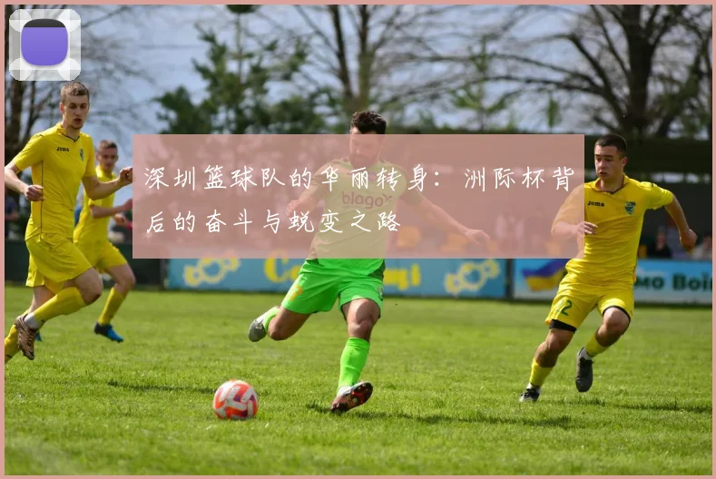 深圳篮球队的华丽转身：洲际杯背后的奋斗与蜕变之路