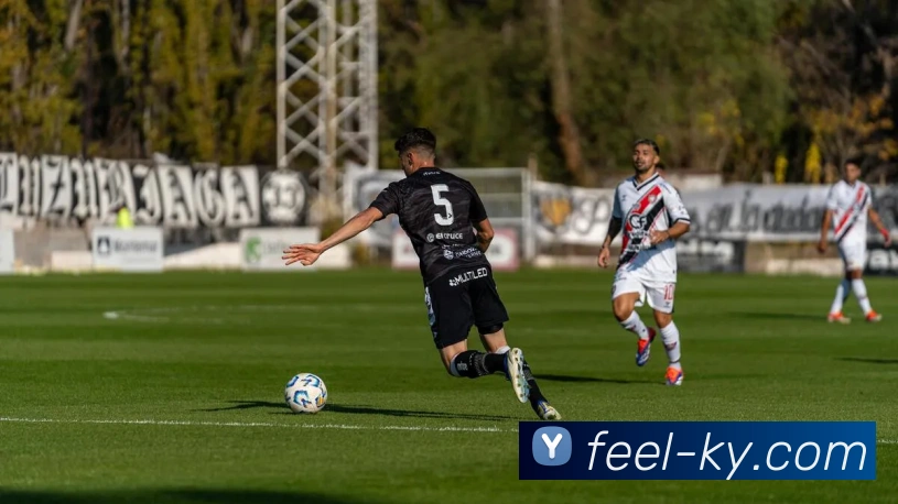 开云平台生态图